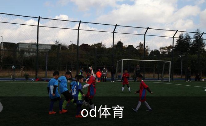 走进od体育